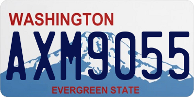 WA license plate AXM9055
