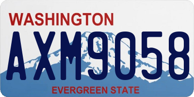 WA license plate AXM9058
