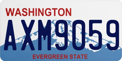 WA license plate AXM9059