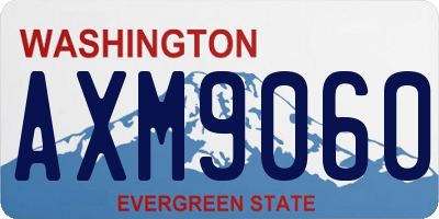 WA license plate AXM9060
