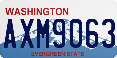 WA license plate AXM9063
