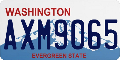 WA license plate AXM9065
