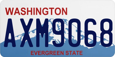 WA license plate AXM9068