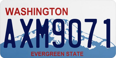 WA license plate AXM9071