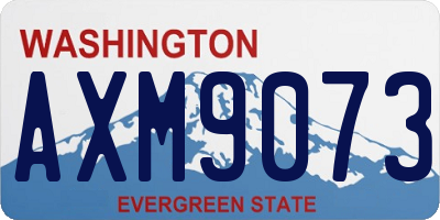 WA license plate AXM9073