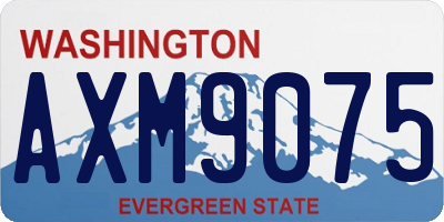 WA license plate AXM9075