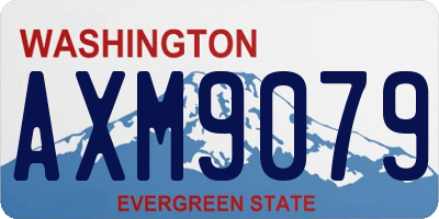 WA license plate AXM9079