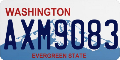 WA license plate AXM9083