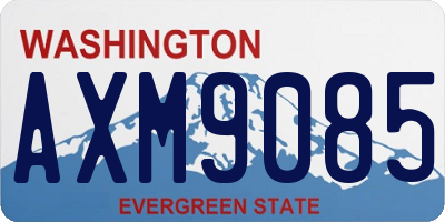 WA license plate AXM9085