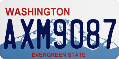WA license plate AXM9087