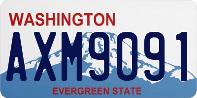 WA license plate AXM9091