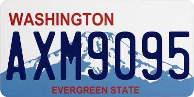 WA license plate AXM9095
