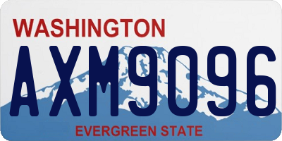 WA license plate AXM9096