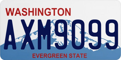 WA license plate AXM9099
