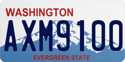 WA license plate AXM9100