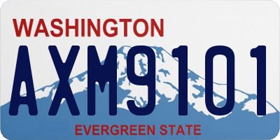 WA license plate AXM9101