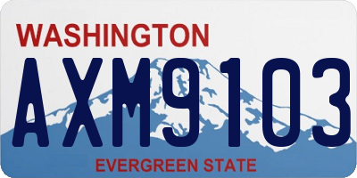 WA license plate AXM9103