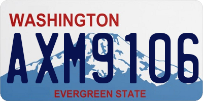 WA license plate AXM9106