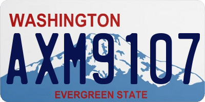 WA license plate AXM9107