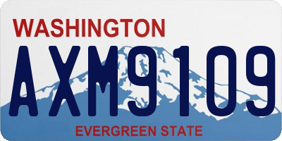 WA license plate AXM9109