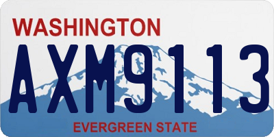 WA license plate AXM9113