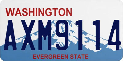 WA license plate AXM9114