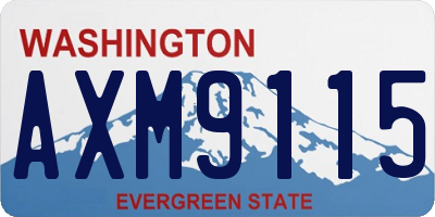 WA license plate AXM9115