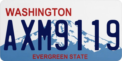 WA license plate AXM9119