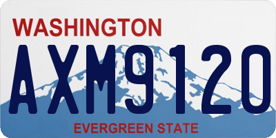 WA license plate AXM9120
