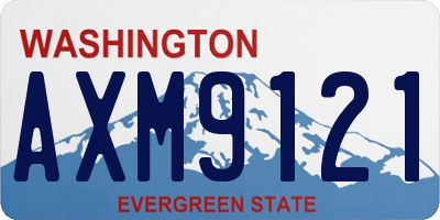 WA license plate AXM9121