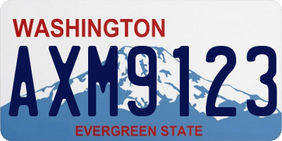 WA license plate AXM9123