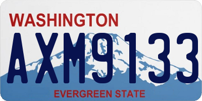 WA license plate AXM9133