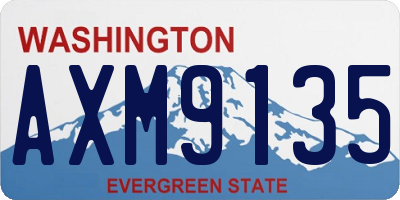 WA license plate AXM9135