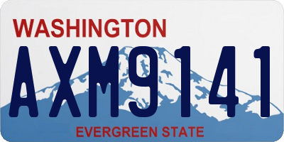 WA license plate AXM9141