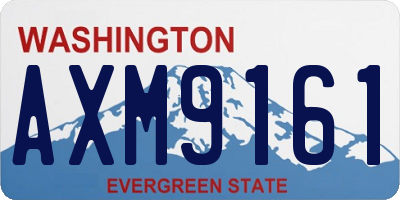 WA license plate AXM9161