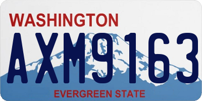 WA license plate AXM9163
