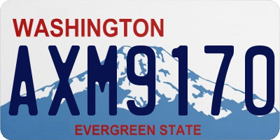 WA license plate AXM9170
