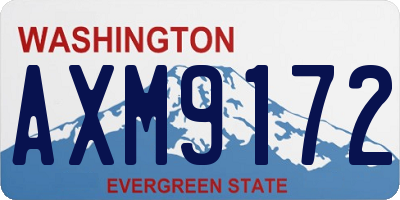 WA license plate AXM9172