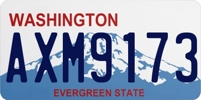 WA license plate AXM9173