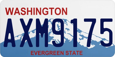 WA license plate AXM9175