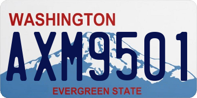 WA license plate AXM9501