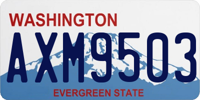 WA license plate AXM9503