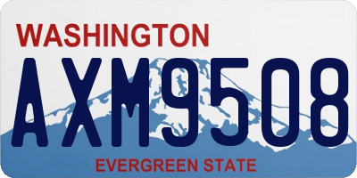 WA license plate AXM9508