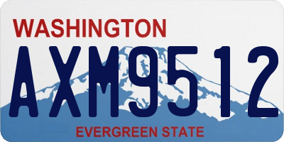 WA license plate AXM9512