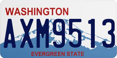 WA license plate AXM9513