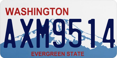 WA license plate AXM9514