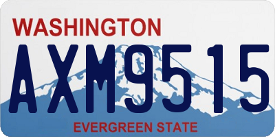 WA license plate AXM9515