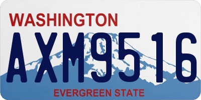 WA license plate AXM9516