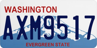 WA license plate AXM9517