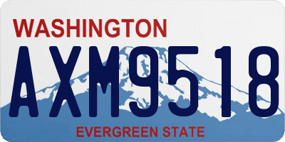 WA license plate AXM9518